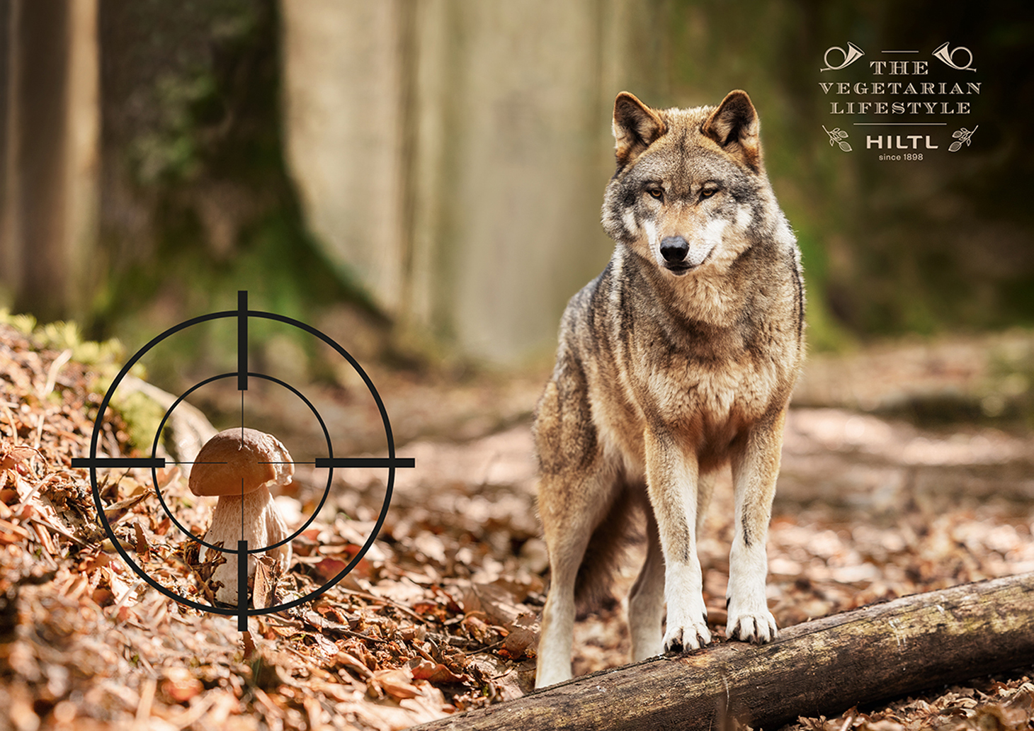 Hiltl Kein Tier im Visier