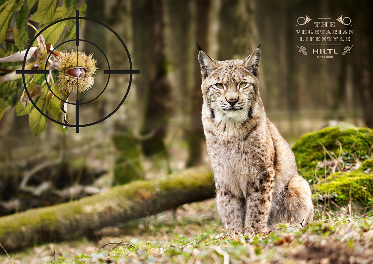 Hiltl Kein Tier im Visier