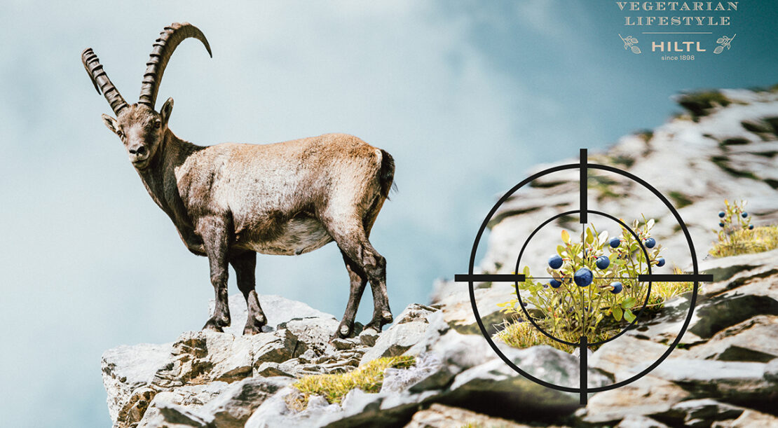 Hiltl Kein Tier im Visier