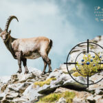 Hiltl Kein Tier im Visier