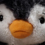 Kinderschutz Schweiz.