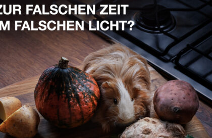 Ledvance_Delikatesse