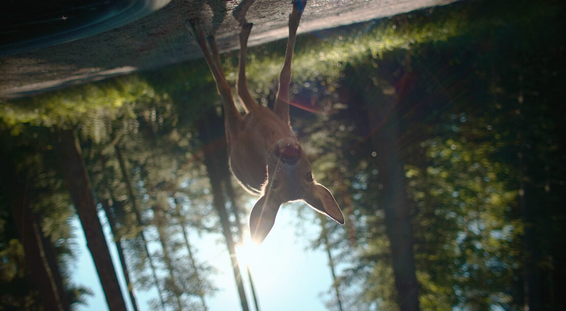 BFU: Die Welt aus der Sicht von Unfallopfern