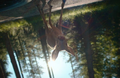 BFU: Die Welt aus der Sicht von Unfallopfern