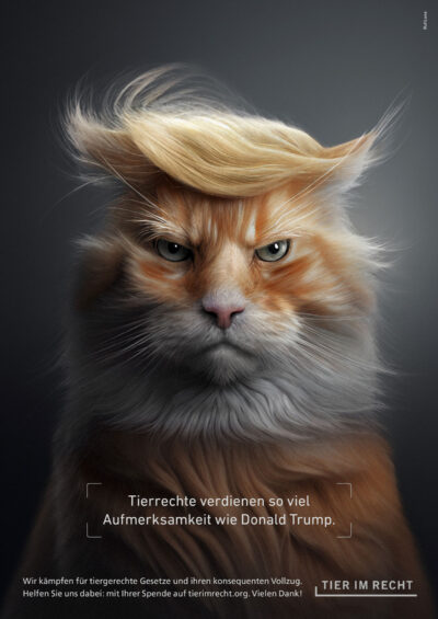 Donald Trump in Tier im Recht