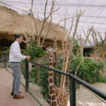 Schroten für Swiss Life