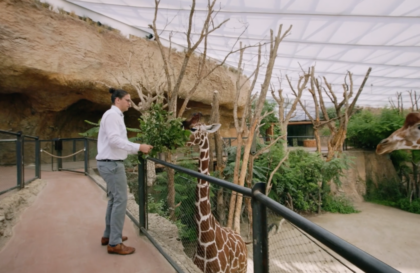 Schroten für Swiss Life