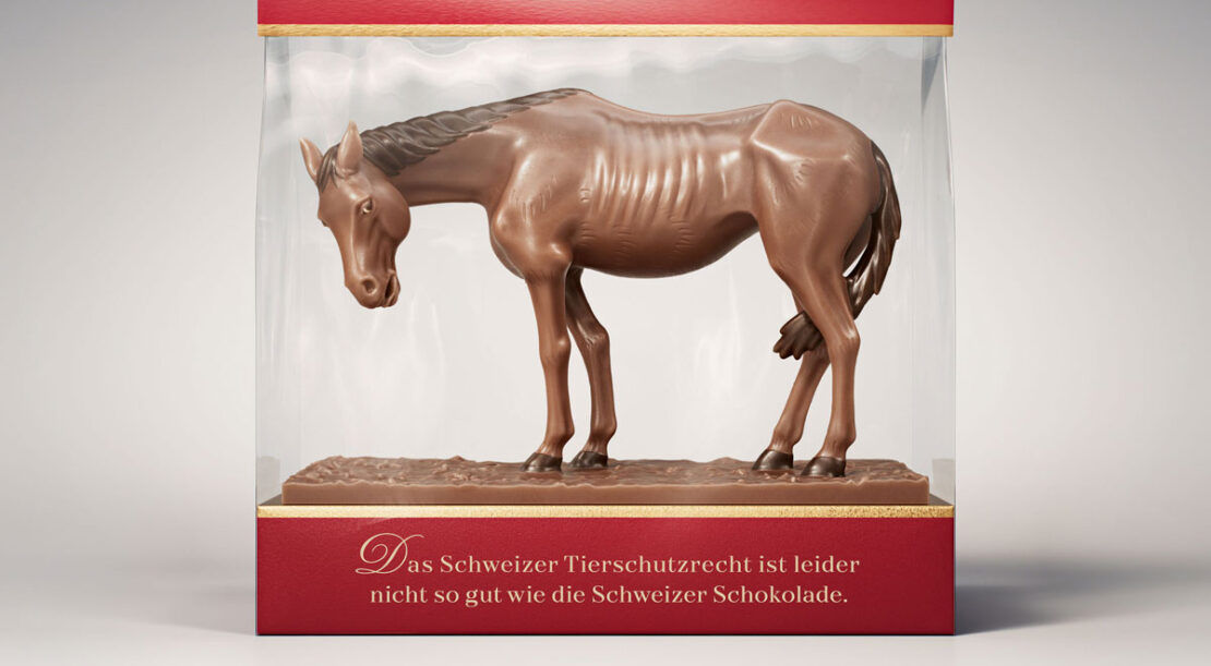 tier-im-recht_schokolade_1-pferd_1200