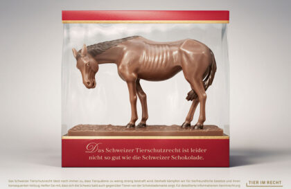 tier-im-recht_schokolade_1-pferd_1200