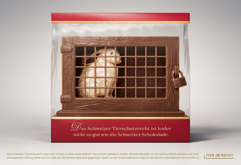 tier-im-recht_schokolade_2-hase_1200