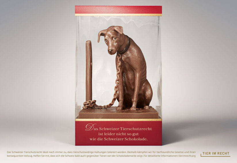 tier-im-recht_schokolade_3-hund_1200