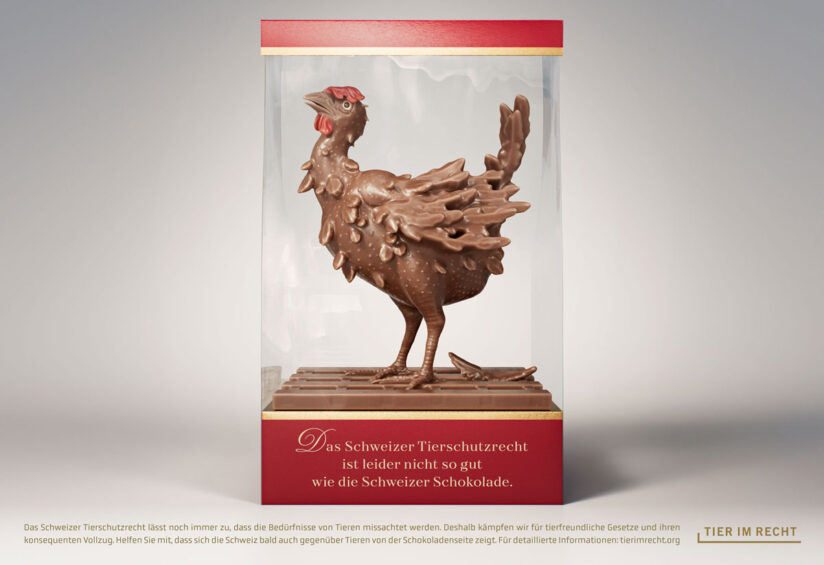 tier-im-recht_schokolade_4-huhn_1200