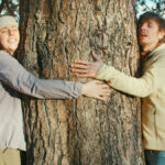 raïna: Designermöbel aus Arvenholz