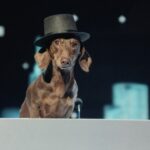 Citroën mit neuer Kampagne 2034 ELECTION